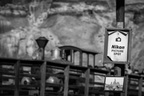 Big Thunder picture spot sign