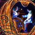 WDW2008-110