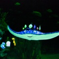 WDW2008-324