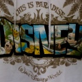 WDW2008-192