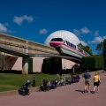 WDW2008-232