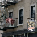 WDW2008-422