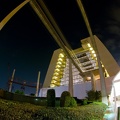WDW2008-488