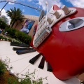 WDW2008-385