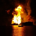 WDW2008-335