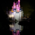 WDW2008-525