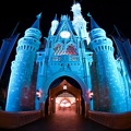 WDW2008-526