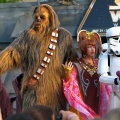 WDW2010SWW-187