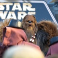 WDW2010SWW-160