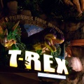 WDW2010SWW-002