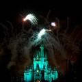 WDW2010SWW-317