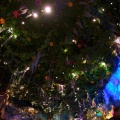WDW2010SWW-005