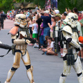 WDW2010SWW-051