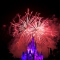 WDW2010SWW-313