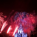 WDW2010SWW-314