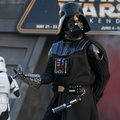 WDW2010SWW-174
