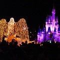 WDW2010SWW-297