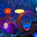 WDW2010SWW-003