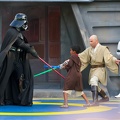 WDW2010SWW-147