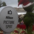 WDW2014-258