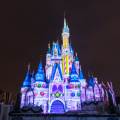 WDW2014-177.jpg