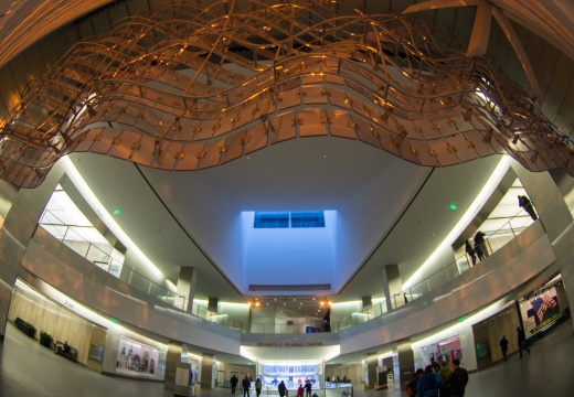 WashingtonDC201401-028