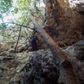 Cancun201404-183