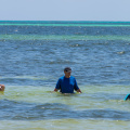 Cancun201404-258