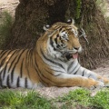 WDW201206-217