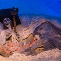 WDW201206-304