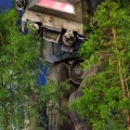 WDW201206-260