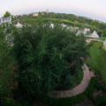 WDW201206-031.jpg