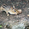 Camping2012-001