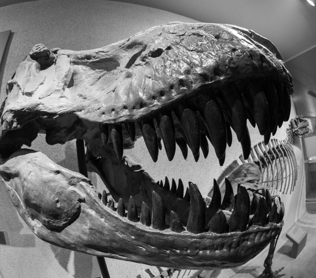 WashingtonDC201207-004