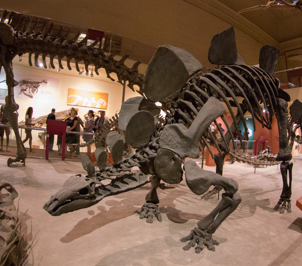 WashingtonDC201207-002