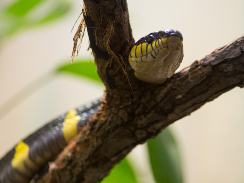 WashingtonDC201207-035