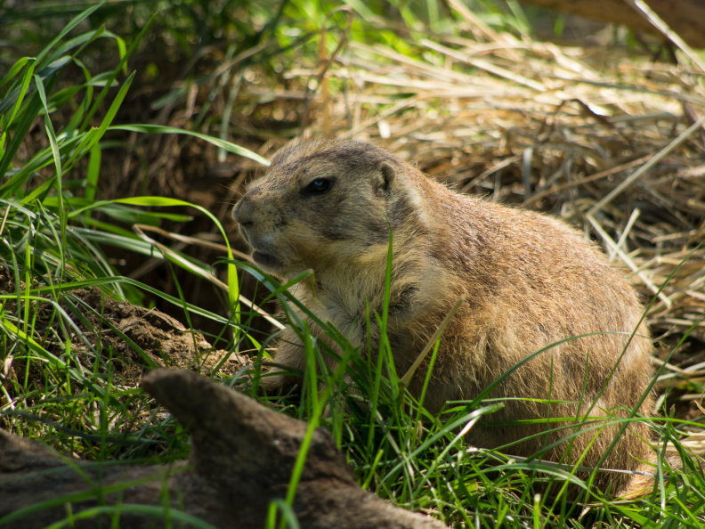 WashingtonDC201207-034