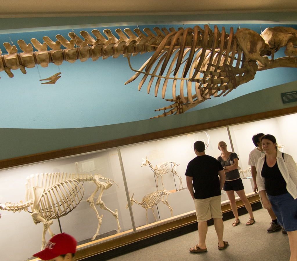 WashingtonDC201207-015