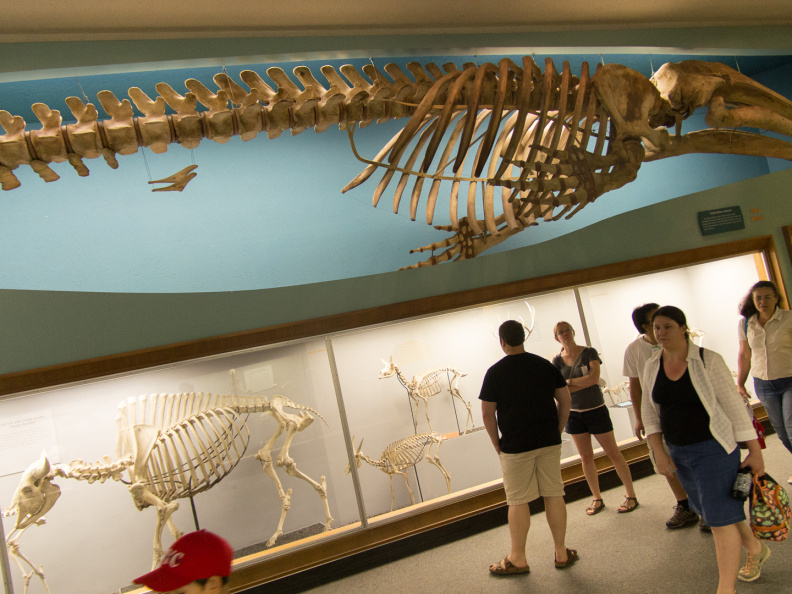 WashingtonDC201207-015