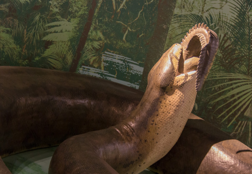 WashingtonDC201207-013