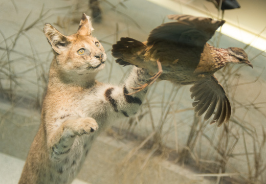 WashingtonDC201207-016