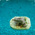 Camping2012-017