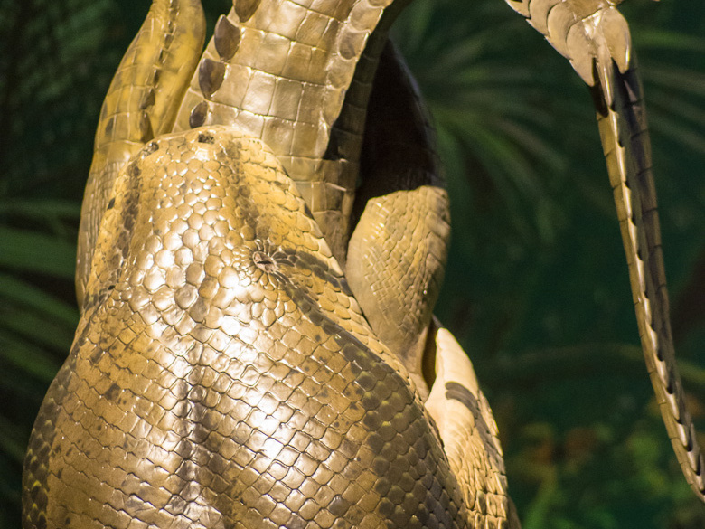 WashingtonDC201207-011