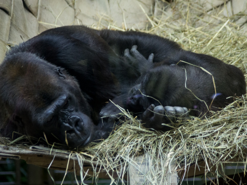 WashingtonDC201207-043