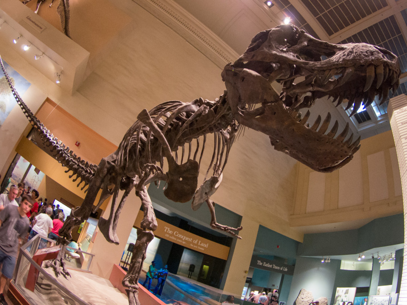 WashingtonDC201207-003