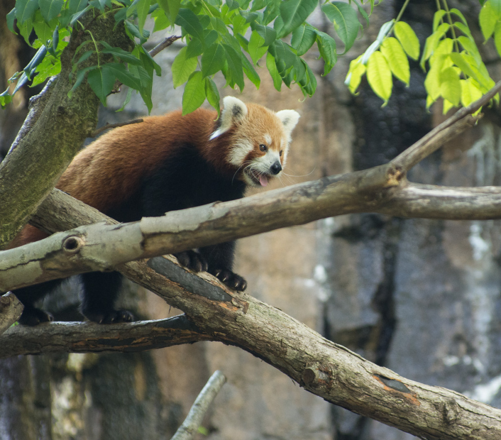 WashingtonDC201207-047