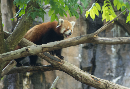 WashingtonDC201207-047