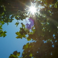 Camping2012-026