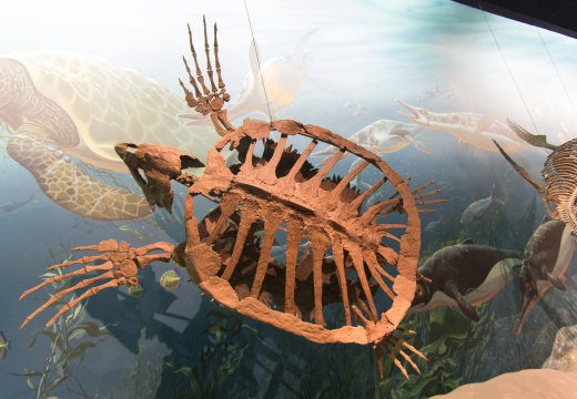 WashingtonDC201207-006