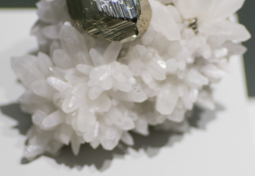 WashingtonDC201207-008